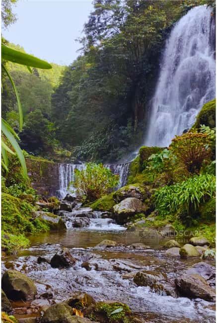 São Miguel: Majestic North Tour (Waterfalls w/Lunch) - What You Can Expect from the São Miguel: Majestic North Tour