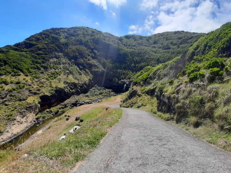 São Miguel: Moinho do Felix Hike with Tea Factory Visit - The Downsides and Considerations
