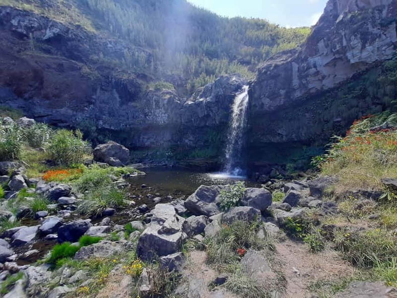 São Miguel: Moinho do Felix Hike with Tea Factory Visit - Who Is This Tour Best For?