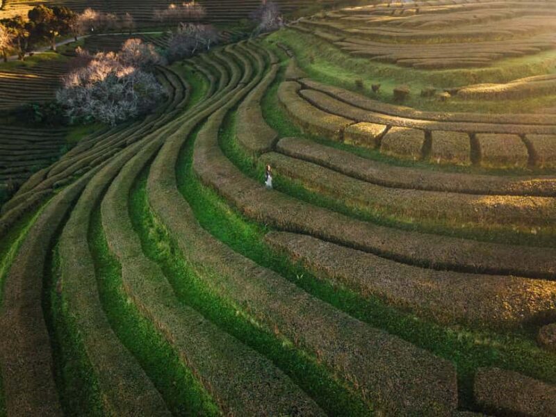 São Miguel Private Jeep 4×4  Furnas & East - Scenic Drive to Vila Franca do Campo