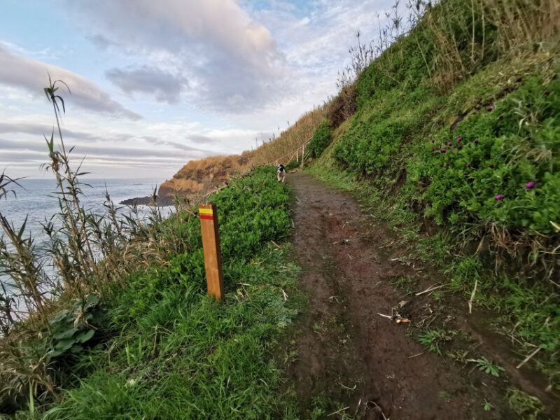 São Miguel: Ribeira Funda Hike & Tea Plantation with Lunch - Key Points