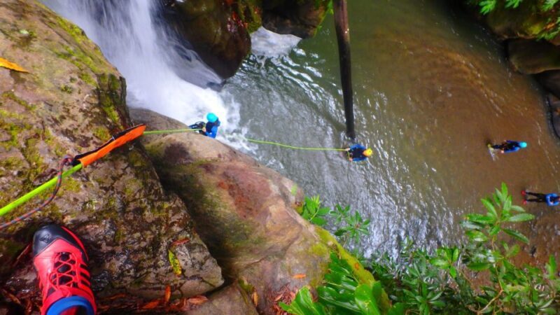Sao Miguel: Salto do Cabrito Guided Canyoning Experience - Key Points