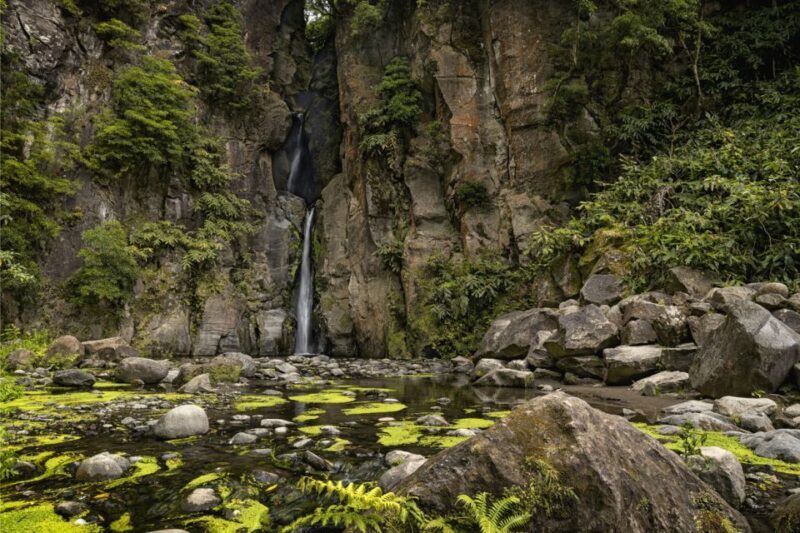 Sao Miguel: Salto do Cabrito Guided Canyoning Experience - Pricing and Value