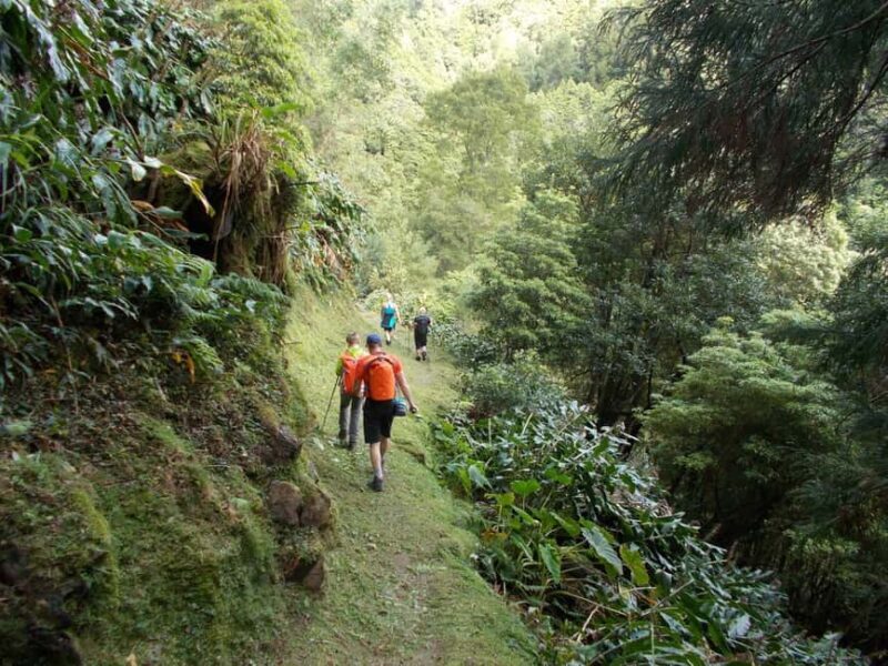 São Miguel: Sanguinho Trail - Deep Dive into the Sanguinho Trail Experience