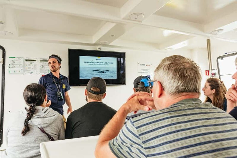 São Miguel: Whale-Watching Cruise with Marine Biologist - Who Should Consider This Tour?