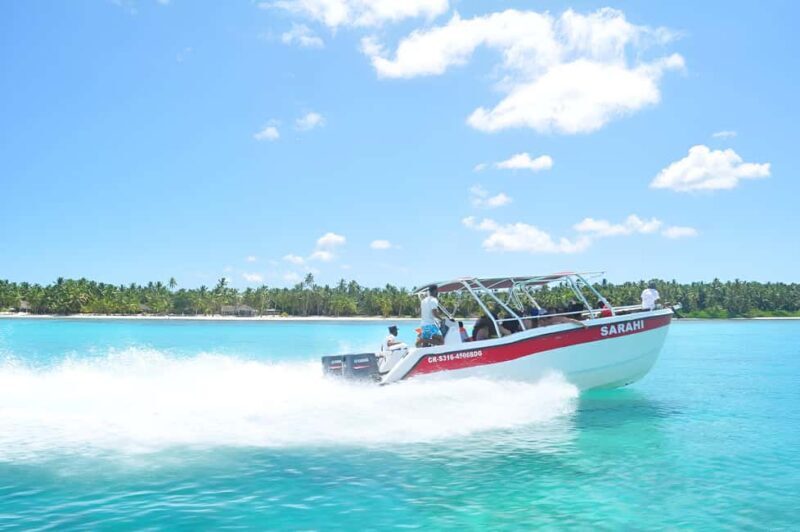 Saona Island Day Trip + Lunch + Open Bar from Punta Cana - What’s Included and What to Expect