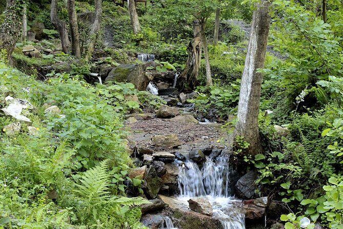 Sapanca and Masukiye Day Trip with Lunch and Hotel Transfer - Final Thoughts