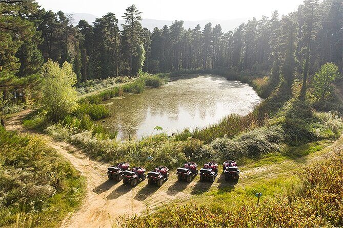 Sapanca and Masukiye from Istanbul with Lunch and Hotel pickup - What’s the Real Value?