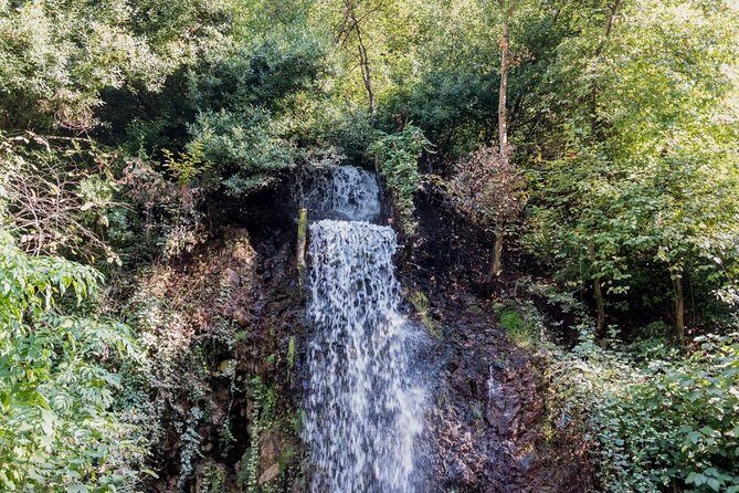 Sapanca And Masukiye Tour With Lunch - Full Day - Final Thoughts