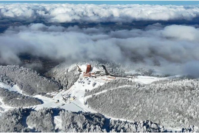 Sapanca and Zoo Private Tour From Istanbul - VIP Minivan - Best Quality - What the Tour Entails: A Deep Dive