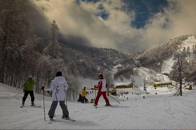 Sapanca and Zoo Private Tour From Istanbul - VIP Minivan - Best Quality - FAQ