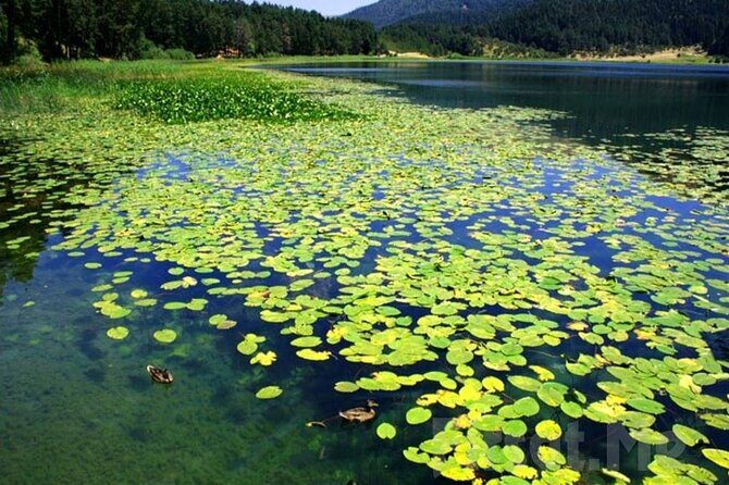 Sapanca Lake & Masukiye Tour From Istanbul - Key Points