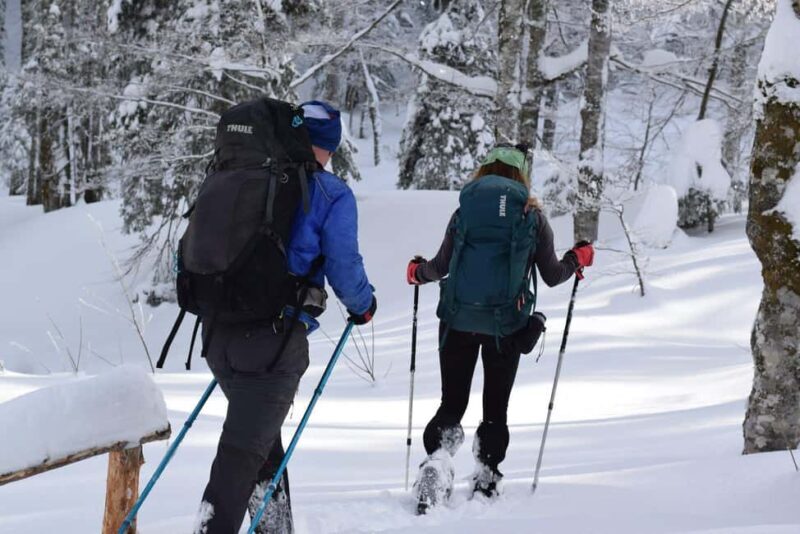 Sarajevo: Dinaric Alps Snowshoeing Tour - Discovering the Dinaric Alps on Snowshoes