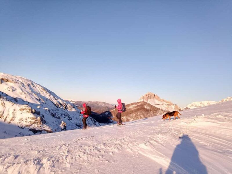 Sarajevo: Dinaric Alps Snowshoeing Tour - Logistics and Comfort