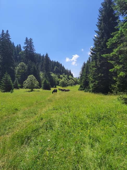 Sarajevo Sport tour: Olympic Mountains and Stadium Tour - Key Points