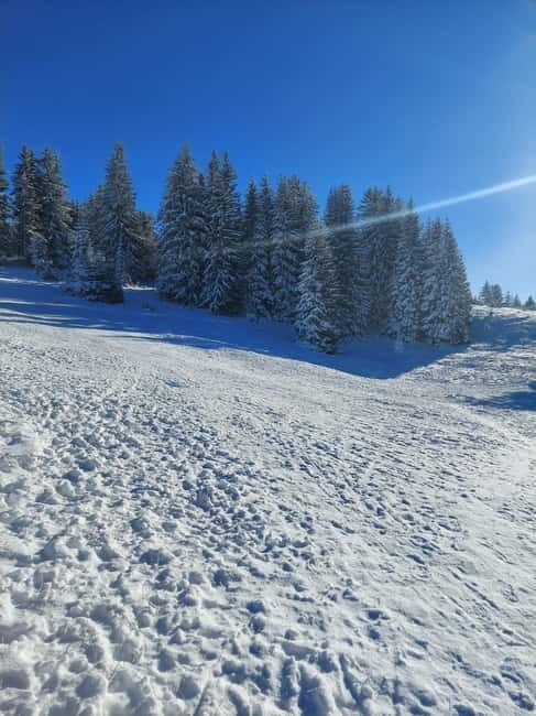 Sarajevo Sport tour: Olympic Mountains and Stadium Tour - Who Will Love This Tour?