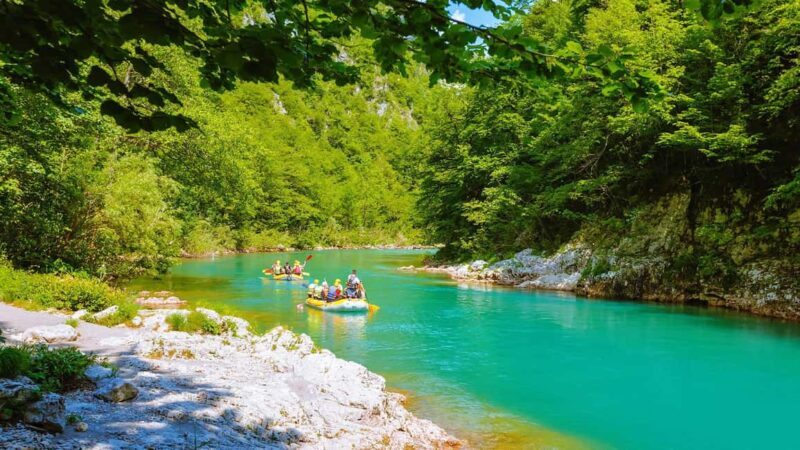 Sarajevo: Tara River Rafting Day Trip with Lunch - The Highlights of the Tara River Rafting Tour