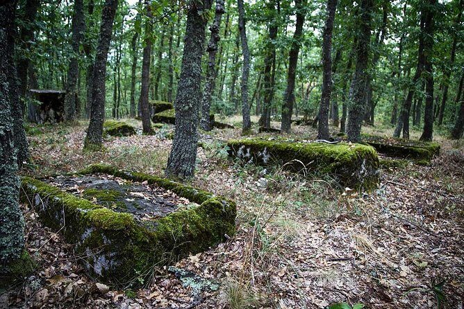 Sarajevo to/from Belgrade UNESCO Transfer Day Tour (Fees Incl.) - Moving into Serbia: Mokra Gora and the Movie Village