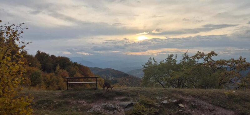 Sarajevo: Via ferrata Bukovik - An In-Depth Look at the Bukovik Via Ferrata Experience