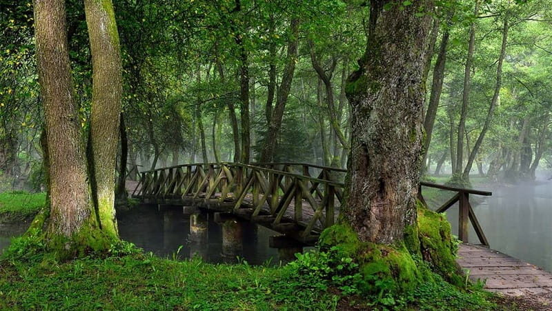 Sarajevo: Vrelo Bosne Nature Park Private Tour - The Experience and Value