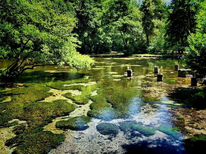 Sarajevo: Vrelo Bosne Nature Park Private Tour - Who Is This Tour Best For?