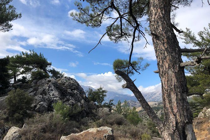 Sarakina Gorge, Kritza, Oliveoil Tasting, Mountains, South Coast - Authentic Moments and Scenic Views