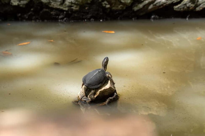 Saranda 1-Day: Butrint, Ksamil, Blue Eye & Lekuresi Castle - Key Points