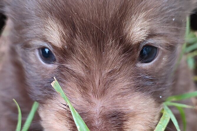 Saranda: Tour in South of Albania (Butrint, Blue Eye, Ksamil) - What’s Included & What You Should Know