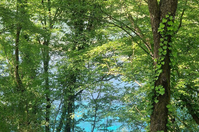 Sarande Blue Eye and Lekursi Castle Tour - Who it’s best for