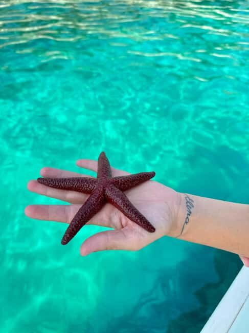 Sarandë: Coastal Cruise to Porto Palermo/Himare with Sunset - Final Word