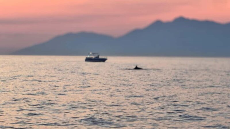 Sarandë: Riviera Secrets, Cruise to Krorez & Turquoise Bays - FAQ