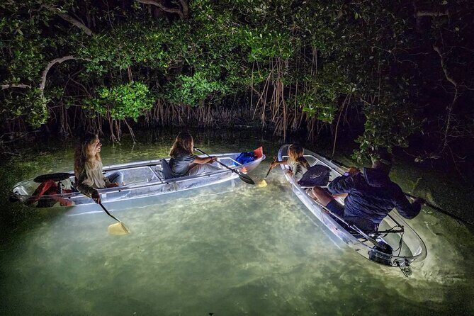 Sarasota - Clear Kayak LED Night Glass Bottom Tour - What is the Sarasota Clear Kayak LED Night Glass Bottom Tour?