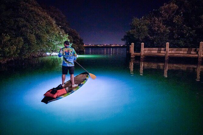 Sarasota - Clear Kayak LED Night Glass Bottom Tour - What to Expect During the Tour