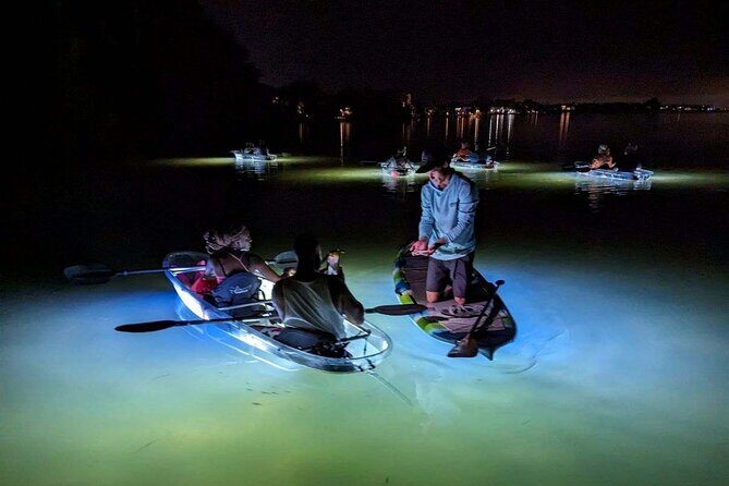 Sarasota - Clear Kayak LED Night Glass Bottom Tour - Final Thoughts: Who Will Love This Tour?