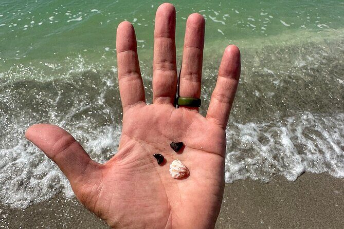 Sarasota Clear Kayak Tour - The Experience in Detail