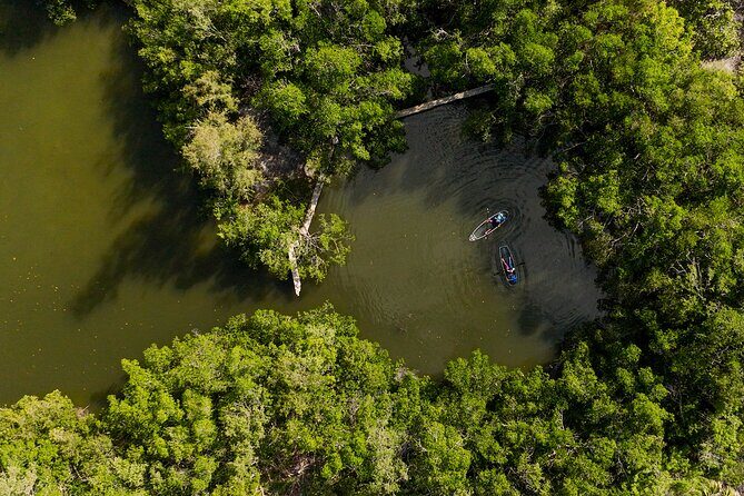 Sarasota Clear Kayak Tour - Who Should Do This Tour?