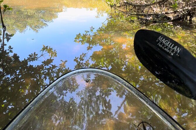Sarasota Clear Kayak Tour - FAQ