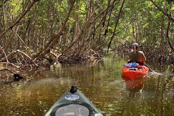 Sarasota Guided Mangrove Tunnel Kayak Tour - Who Will Love This Tour?