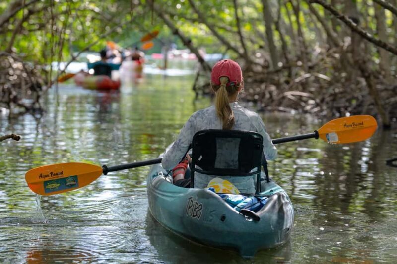 Sarasota: Guided Mangrove Tunnel Kayak Tour Lido Key - Price and Value
