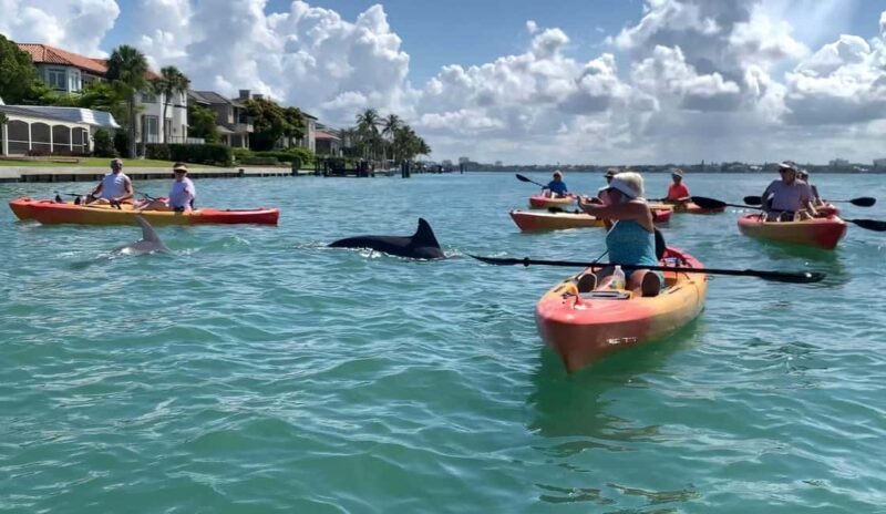 Sarasota: Guided Mangrove Tunnel Kayak Tour Lido Key - FAQ