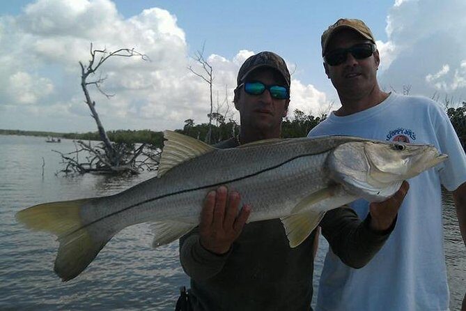 Sarasota Inshore Fishing Charters - What to Expect from Sarasota Inshore Fishing Charters