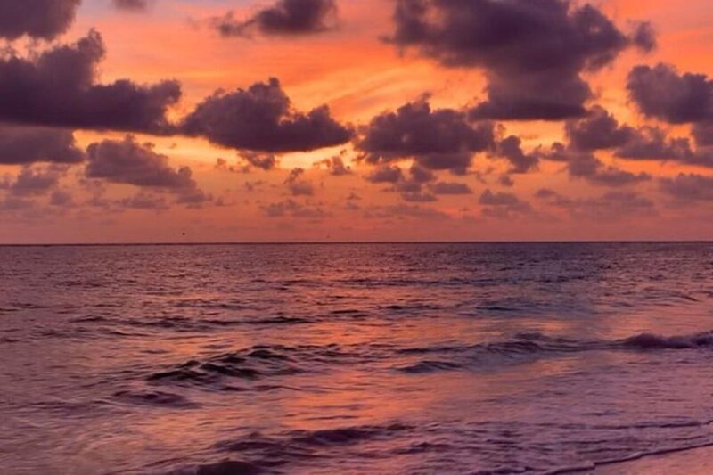 Sarasota: Siesta Key Electric Bike Sunset Tour - What’s Included and What’s Not