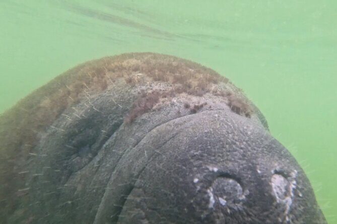 Sarasota Waterways Tour for All Ages - Final Thoughts