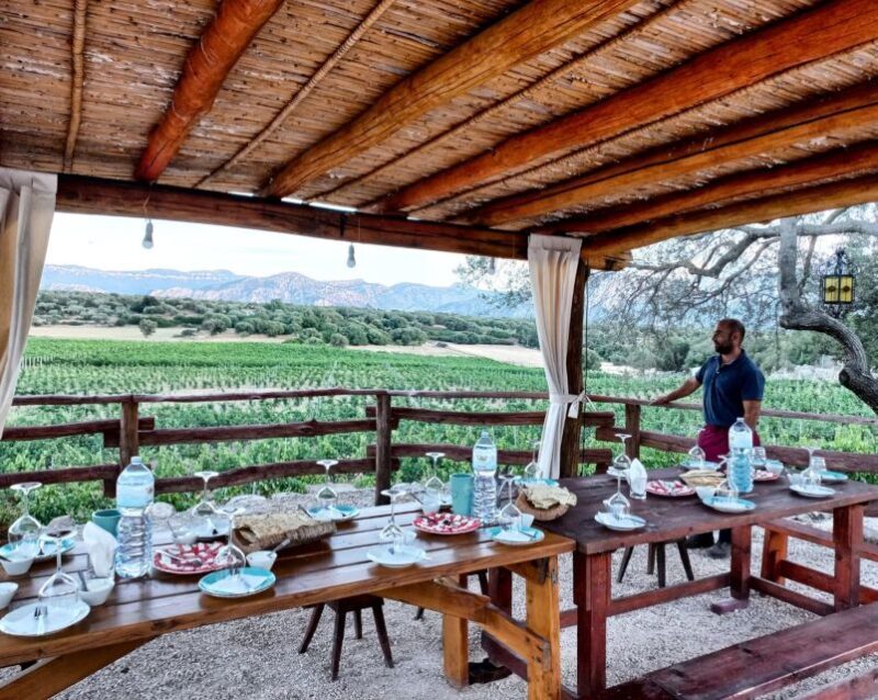 Sardinia: Dorgali Winery Tour with Tasting and Local Guide - Sardinia: Dorgali Winery Tour with Tasting and Local Guide — An Honest Look