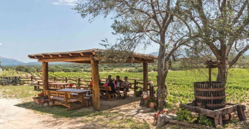 Sardinia: Dorgali Winery Tour with Tasting and Local Guide - The Value of This Experience
