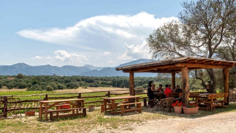 Sardinia: Dorgali Winery Tour with Tasting and Local Guide - Final Thoughts