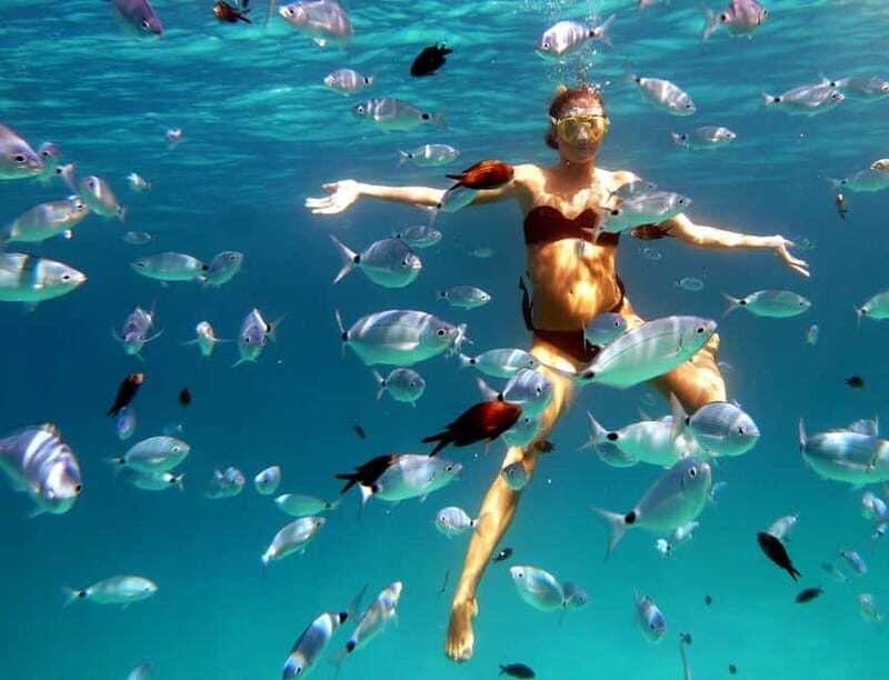 Sardinia: Morning Kayak Tour + Snorkeling and Local Aperitif - An Honest Look at the Experience