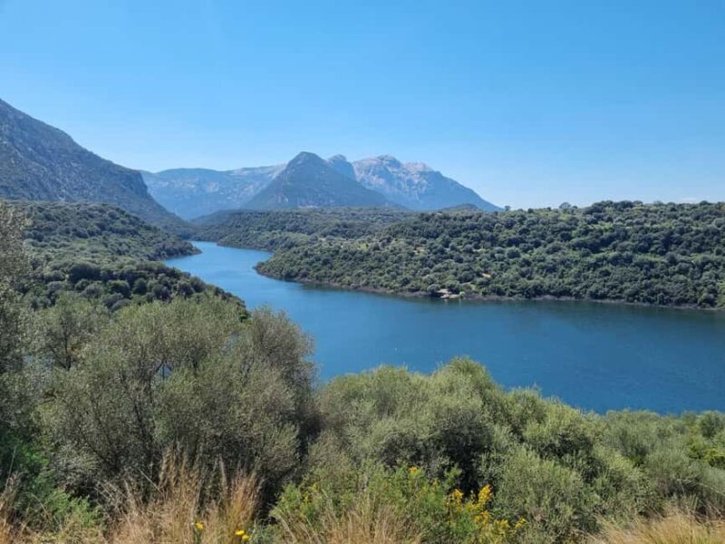 Sardinia: Private Cheese-Making Workshop and Supramonte Tour - Key Points