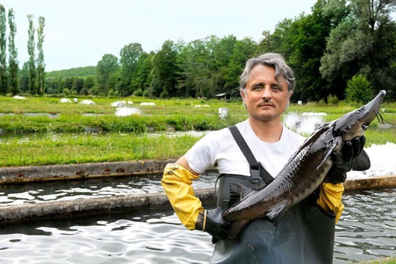 Sarlat: Caviar Farm Tour with Tasting + Pickup by Exploreo24 - What to Expect from the Caviar Farm Tour