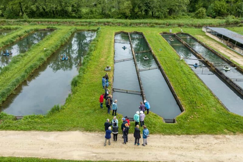 Sarlat: Caviar Farm Tour with Tasting + Pickup by Exploreo24 - Why This Tour Might Be a Good Fit